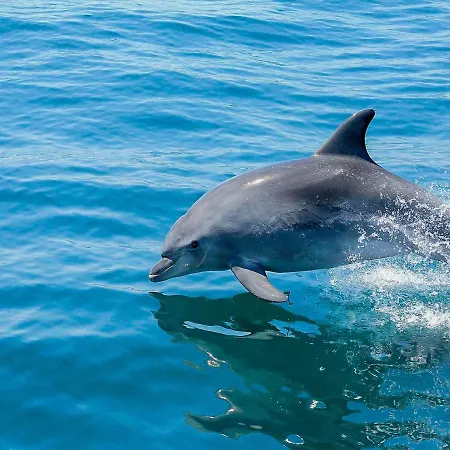 V3, Belo Horizonte Near Beach, Villa *